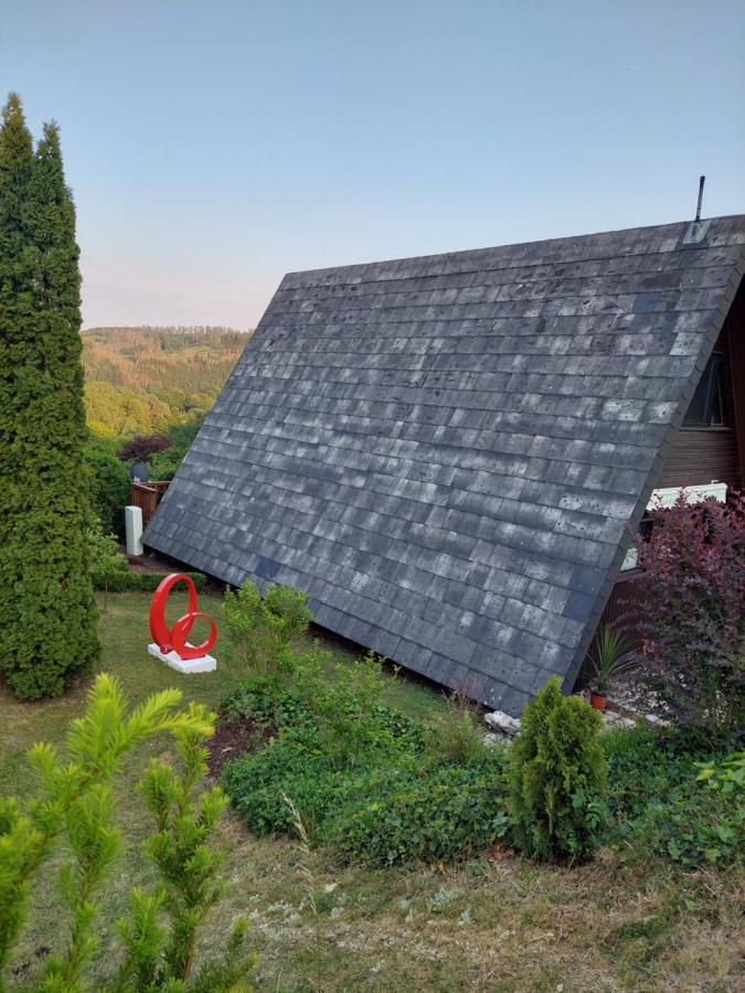 Haus Am See Willingen Willingen  Eksteriør bilde
