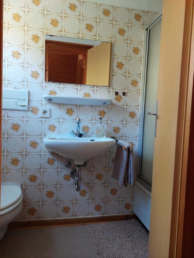Haus Am See Willingen Willingen  Eksteriør bilde