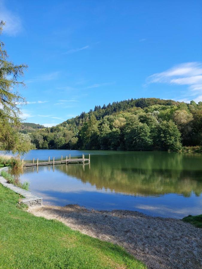 Haus Am See Willingen Willingen  Eksteriør bilde