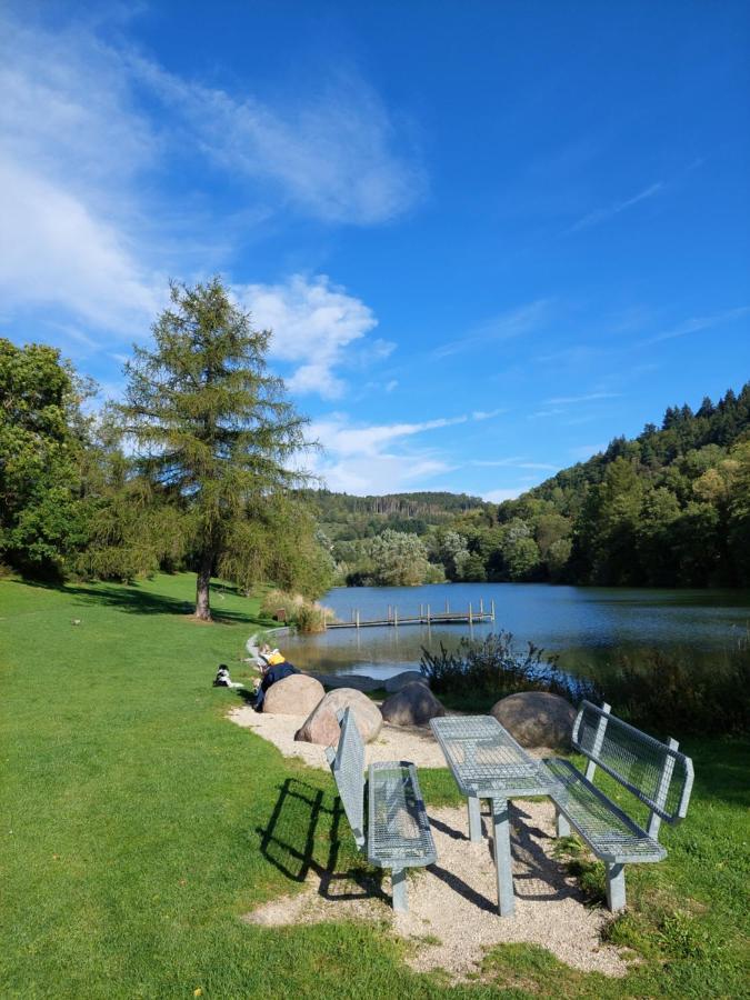 Haus Am See Willingen Willingen  Eksteriør bilde