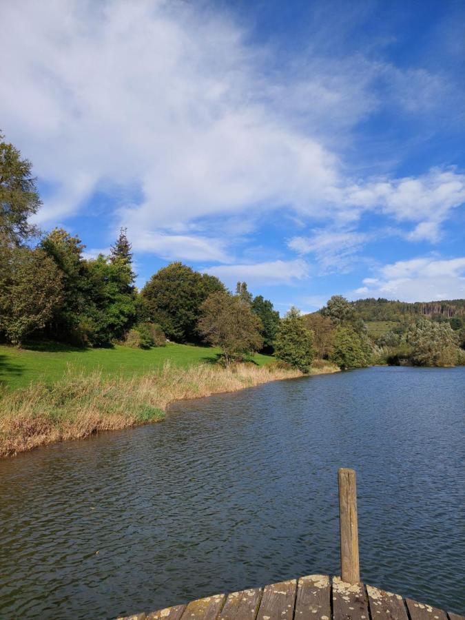 Haus Am See Willingen Willingen  Eksteriør bilde