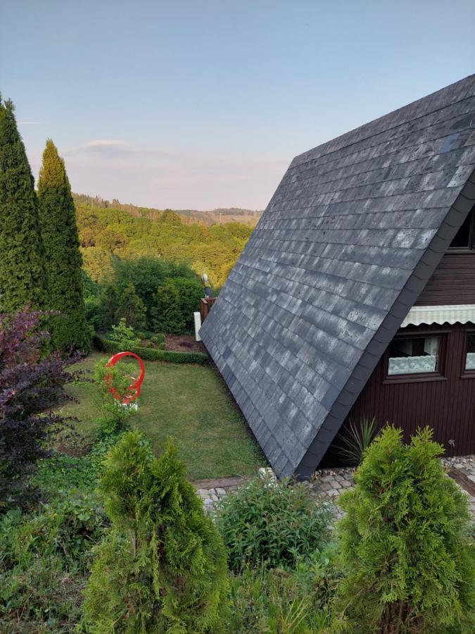 Haus Am See Willingen Willingen  Eksteriør bilde